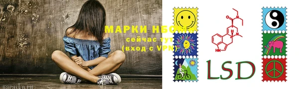 амф Алзамай