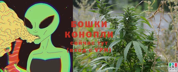 прущие грибы Абдулино