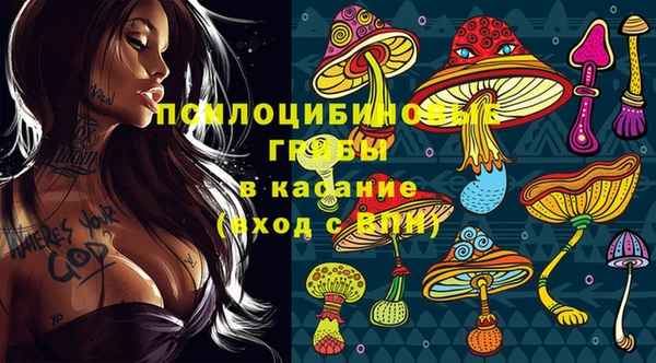 прущие грибы Алексеевка
